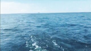 архипелаг Пхи-Пхи - рыбалка