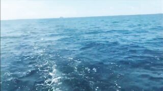 архипелаг Пхи-Пхи - рыбалка
