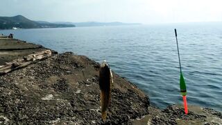 Ольгинка 10.10.2018 погода и рыбалка у кромки