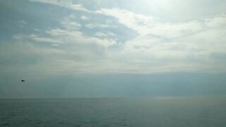 Ольгинка 10.10.2018 погода и рыбалка у кромки