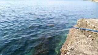 Ольгинка 10.10.2018 погода и рыбалка у кромки