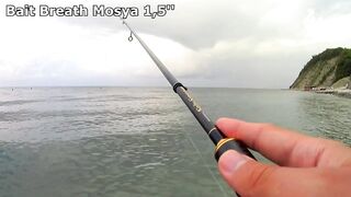 Ольгинка спиннинг и рокфишевый дебют у берега