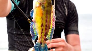 Ольгинка спиннинг и рокфишевый дебют у берега