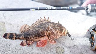 Ольгинка спиннинг и рокфишевый дебют у берега