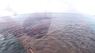 Ольгинка спиннинг и рокфишевый дебют у берега