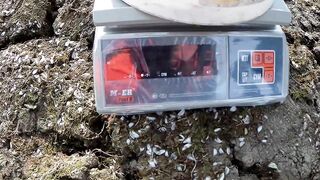 Крым, Бахчисарайское водохранилище фестиваль «Крымский хищник» 2021