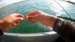 Бахчисарайское водохранилище июньский клёв окуня