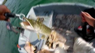 Бахчисарайское водохранилище июньский клёв окуня