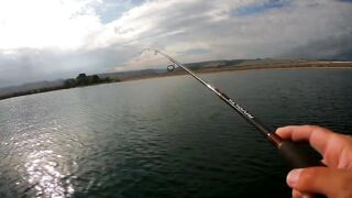 Бахчисарайское водохранилище июньский клёв окуня