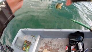 Бахчисарайское водохранилище июньский клёв окуня