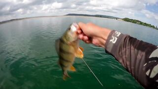 Бахчисарайское водохранилище июньский клёв окуня