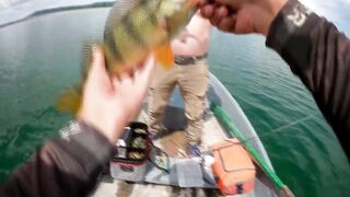 Бахчисарайское водохранилище июньский клёв окуня