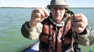 Окуневка Нептуна прогулка у берега