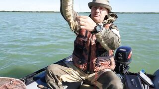 Окуневка Нептуна прогулка у берега