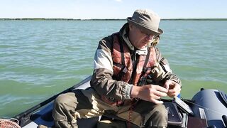 Окуневка Нептуна прогулка у берега