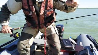 Окуневка Нептуна прогулка у берега