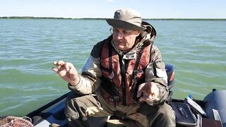 Окуневка Нептуна прогулка у берега