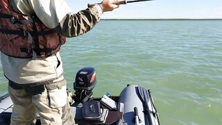 Окуневка Нептуна прогулка у берега