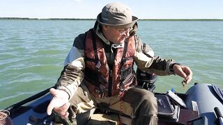 Окуневка Нептуна прогулка у берега