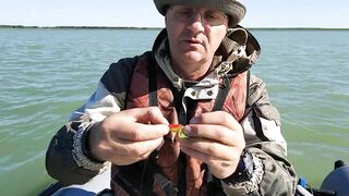 Окуневка Нептуна прогулка у берега