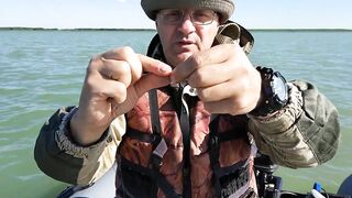 Окуневка Нептуна прогулка у берега