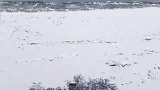 Окуневка пробная рыбалка у берега