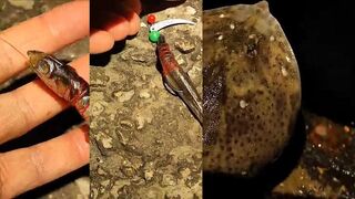 Партенит - донная оснастка и морская рыбалка у кромки