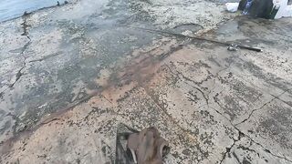 Партенит, ночная рыбалка и трофейный морской кот