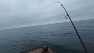 Партенит, ночная рыбалка и трофейный морской кот