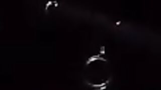 Партенит, ночная рыбалка и трофейный морской кот