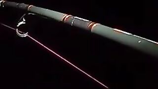 Партенит, ночная рыбалка и трофейный морской кот