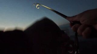 Партенит, ночная рыбалка и трофейный морской кот