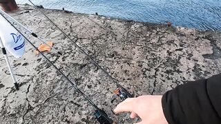 Партенит, ночная рыбалка и трофейный морской кот