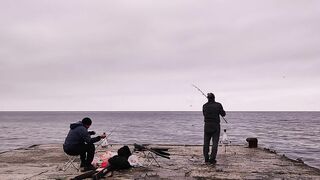 Партенит, ночная рыбалка и трофейный морской кот