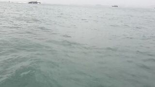 Гонконг, Kennedy Town - рыбалка с набережной!