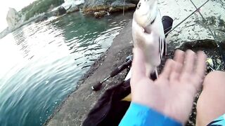 Симеиз 06.2019 рыбалка у берега