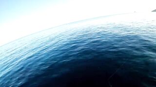 Симеиз 06.2019 рыбалка у берега