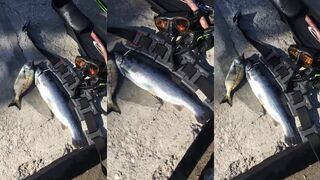 Симеиз: подводная охота на форель в пресной воде?