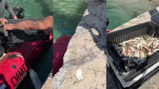 Симеиз, барабуля у берега и тёплый прибой