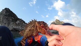 Симеиз меня уколола ядовитая рыба каяк и море