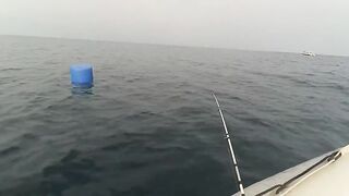 Головинка рыбалка у берега и тихая вода