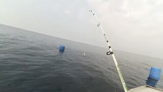 Головинка рыбалка у берега и тихая вода