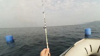 Головинка рыбалка у берега и тихая вода