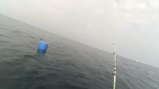 Головинка рыбалка у берега и тихая вода