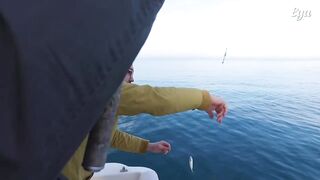 Имеретинская бухта Сочи береговая рыбалка рядом