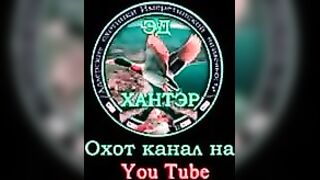 Нижняя Имеретинская бухта смариды и окунь у берега