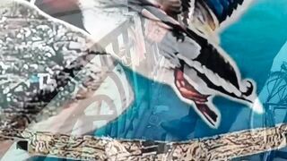 Нижняя Имеретинская бухта смариды и окунь у берега