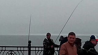 Нижняя Имеретинская бухта смариды и окунь у берега