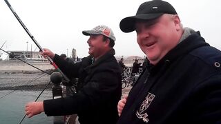 Нижняя Имеретинская бухта смариды и окунь у берега