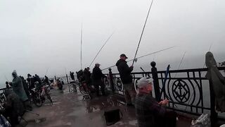 Нижняя Имеретинская бухта смариды и окунь у берега